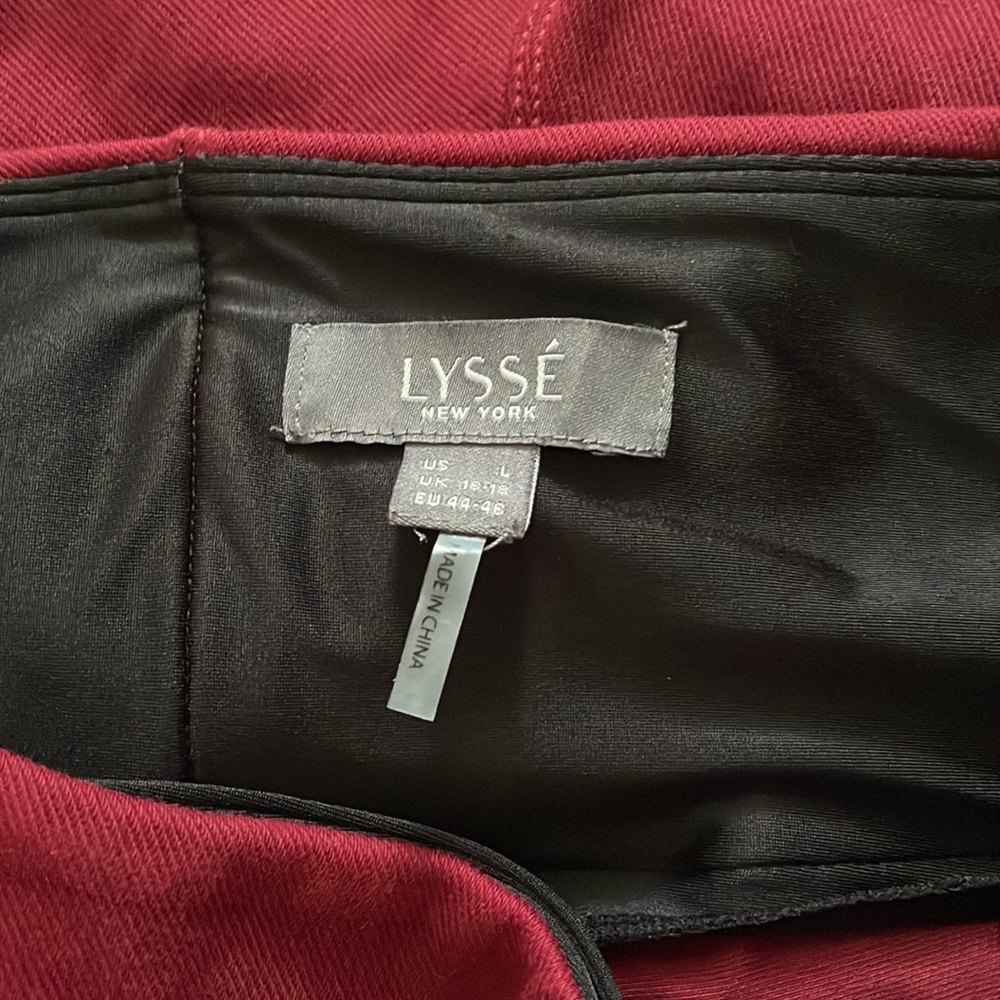 Lyss Maroon Jeggings View 5